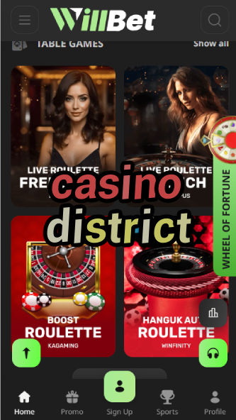 Casino District - Premium Casino Neighborhood Guide-casinoorder.vip