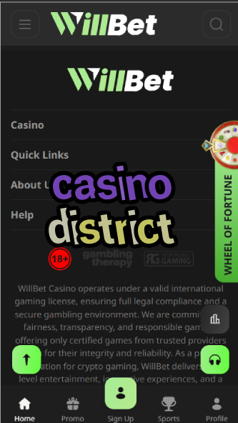 Casino District - Premium Casino Neighborhood Guide-casinoorder.vip