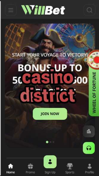Casino District - Premium Casino Neighborhood Guide-casinoorder.vip